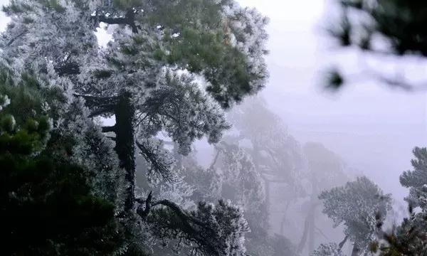外星小怪大冒险