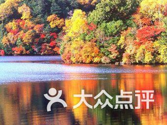 孙绍骋在自治区十一届纪委四次全会上强调 精准发力持续发力推进党的自我革命 为办好两件大事提供坚强保障 王莉霞 张延昆出席