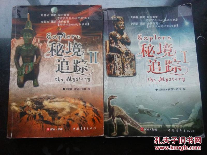 补救措施