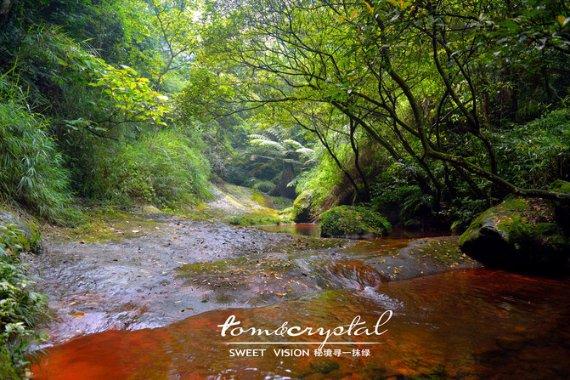 葛荟婕直播怒斥汪峰，自曝18岁小苹果要出道