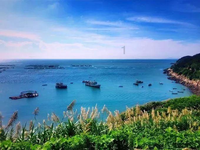 原住民老人救援