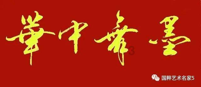 暴走小云