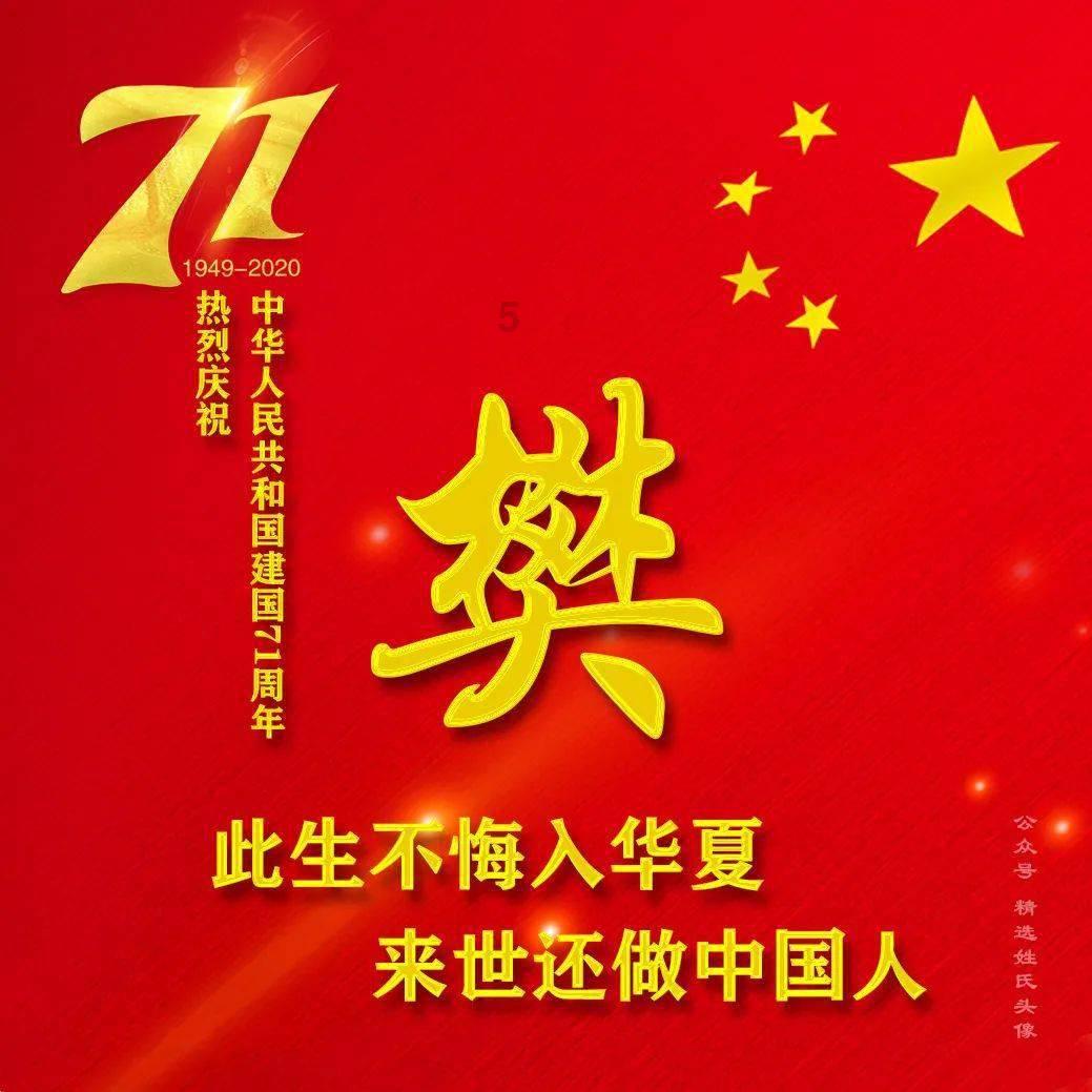 拯救受伤的猫